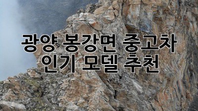 광양 봉강면 중고차 인기 모델 추천